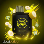 Level X G2 Boost - Cloud Barista