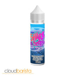 Shark Berry - Cloud Barista